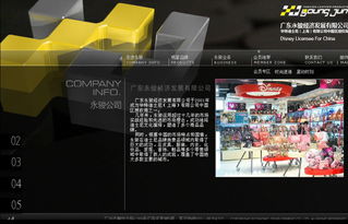 廣州網站建設與設計 永駿經濟發展與英銘網絡的品牌構建案例